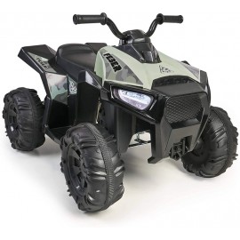 MOTA Quad Boxer 12 V Feber