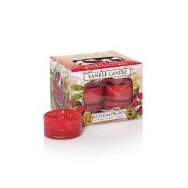 Yankee Candle Tealights - Red Raspberry